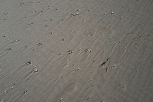 Bretagne Jpg blog
